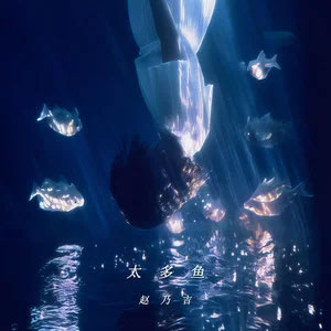 太多鱼歌词 - 赵乃吉