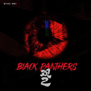 生命的关于歌词 - 黑豹乐队