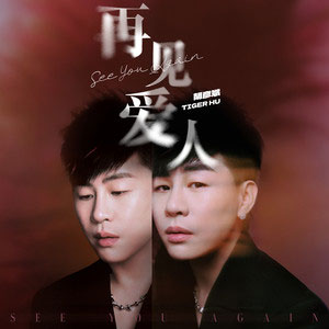 再见爱人歌词 - 胡彦斌