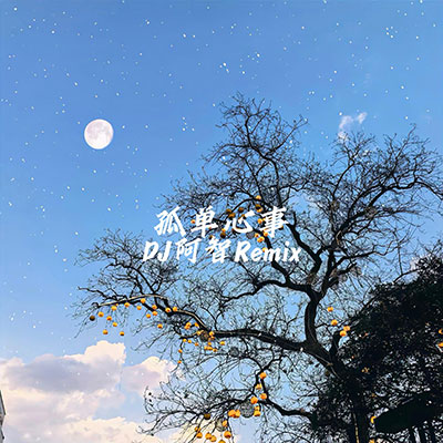 孤单心事(DJ阿智Remix)歌词 - DJ阿智