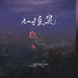 不摇晃歌词 - 程响