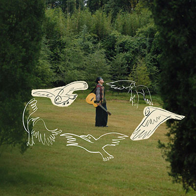 鹈鹕渴歌词 - 8bite