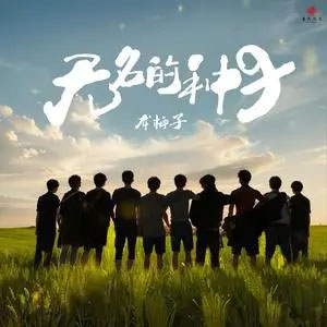 无名的种子歌词 - 龙梅子