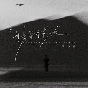 如果爱有形状歌词 - 王小帅