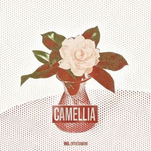 茶花开了,该回家了 (《茶花开了》说唱版)歌词 - 王睿卓/加木