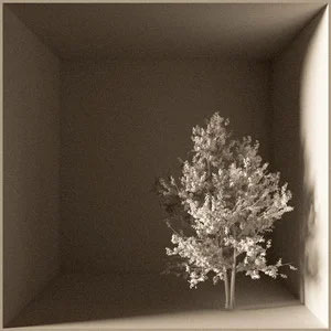 我原谅你歌词 - 刘雨昕