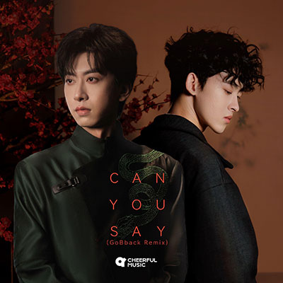 Can you say (GoBback Remix)歌词 - 七叔-叶泽浩 / GoBback