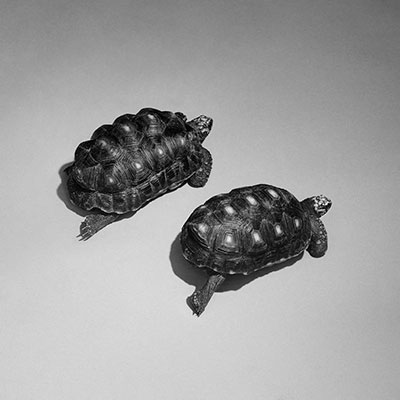 Love Is A Stillness歌词 - Sam Smith