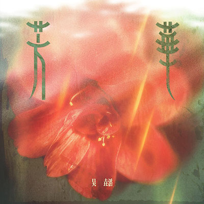 芳华歌词 - 吴垚滔