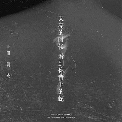 天亮的时候，看到你背上的蛇歌词 - 田鸿杰