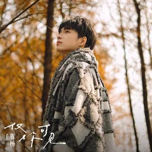 仅你可见歌词 - 曹杨