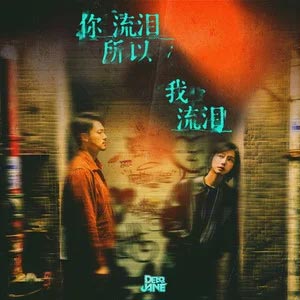 你流泪所以我流泪歌词 - Dear Jane