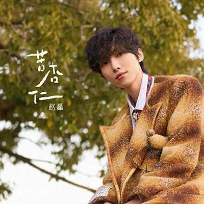 苦杏仁歌词 - 赵磊