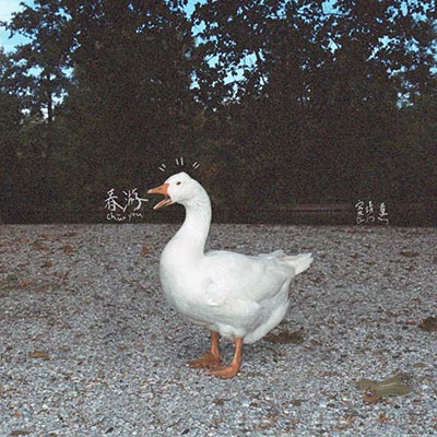 烟花歌词 - 窦靖童