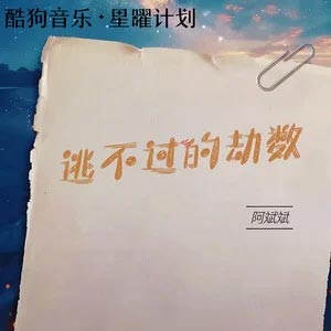 逃不过的劫数歌词 - 阿斌斌