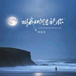 叫我如何忘记你歌词 - 李袁杰