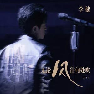 无论风往何处吹 (Live)歌词 - 李健