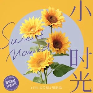 小时光 (yihuik苡慧版)歌词 - yihuik苡慧/胡期皓
