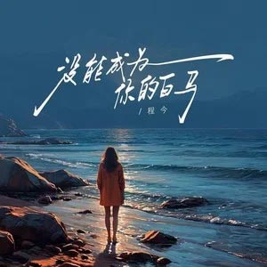 没能成为你的白马 (女版)歌词 - 程今