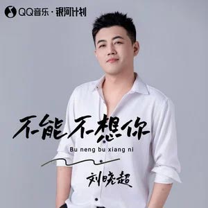 不能不想你歌词 - 刘晓超