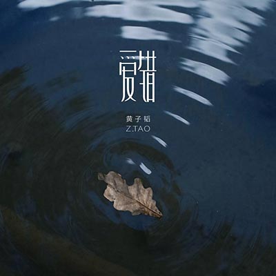 爱错歌词 - 黄子韬