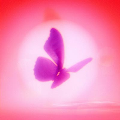 曈歌词 - 刘思鉴