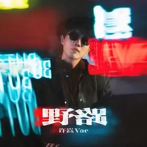 野路歌词 - 许嵩