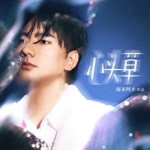 心头草歌词 - 海来阿木