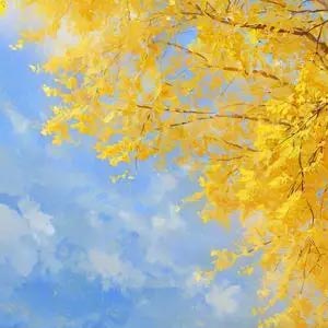 一路有雨也有霜歌词 - 小小徐