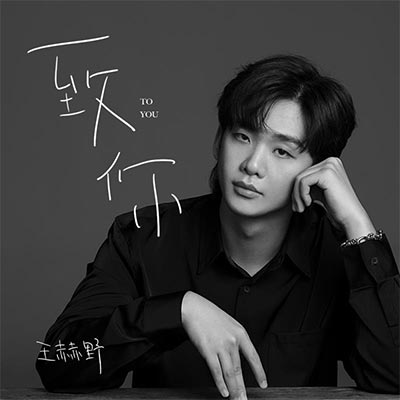 致你歌词 - 王赫野