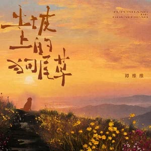 土坡上的狗尾草歌词 - 谭维维