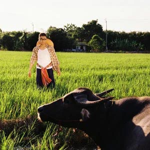 颜色歌词 - Gareth.T