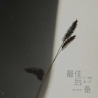 最佳后备歌词 - 傲七爷(江偌绮)
