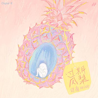 过期凤梨歌词 - 司南