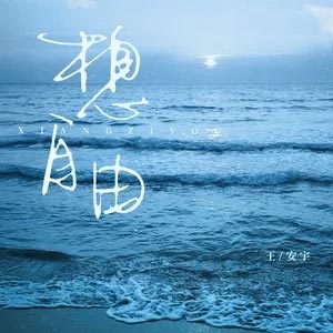 想自由歌词 - 王安宇