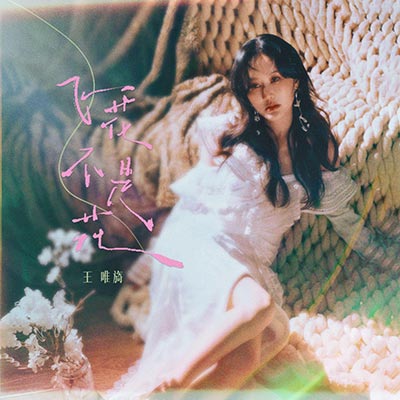 飞花不是花歌词 - 王唯旖