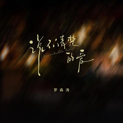 说不清楚的爱歌词 - 罗森涛