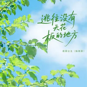 逃往没有天花板的地方歌词 - 菲菲公主(陆绮菲)