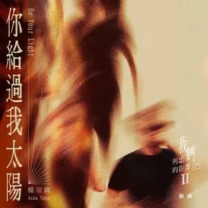 你给过我太阳 (《我们与恶的距离Ⅱ》影集插曲)歌词 - 杨宗纬