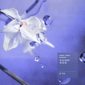 未送出的鸢尾花歌词 - 杜宣达