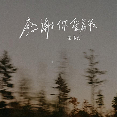 感谢你爱着我歌词 - 金志文