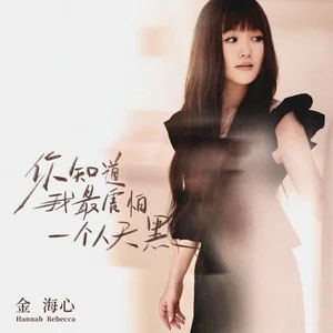 你知道我最害怕一个人天黑歌词 - 金海心
