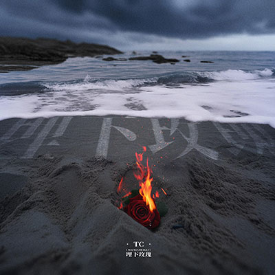 埋下玫瑰歌词 - TC