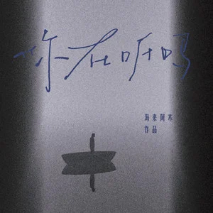 你在听吗歌词 - 海来阿木