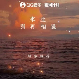 来生别再相遇歌词 - 烟嗓船长