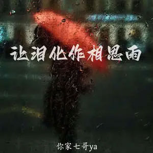 让泪化作相思雨歌词 - 你家七哥ya