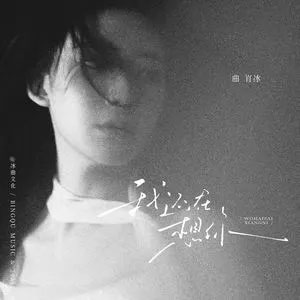 我还在想你歌词 - 曲肖冰