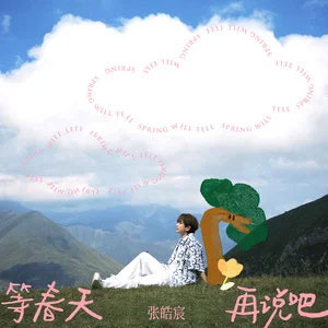等春天再说吧歌词 - 张皓宸