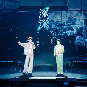 深深 (演唱会版)歌词 - 王赫野 /武艺