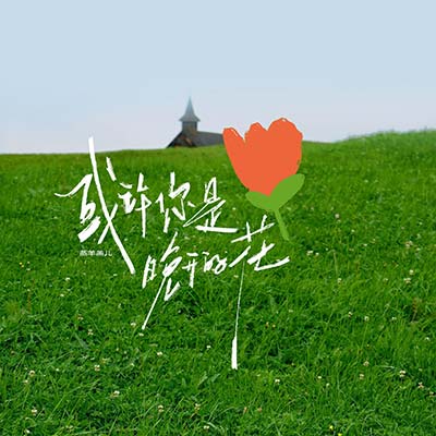 或许你是晚开的花歌词 - 蒸羊羔儿